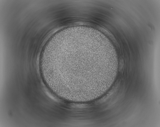 X0000113241039200910221056