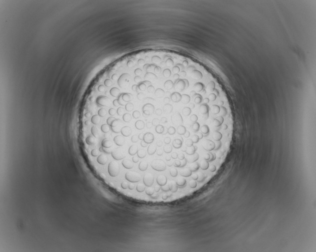 X0000113241040200910221056