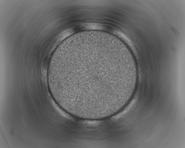 X0000113241041200910221056