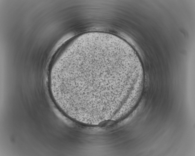 X0000113241042200910221056