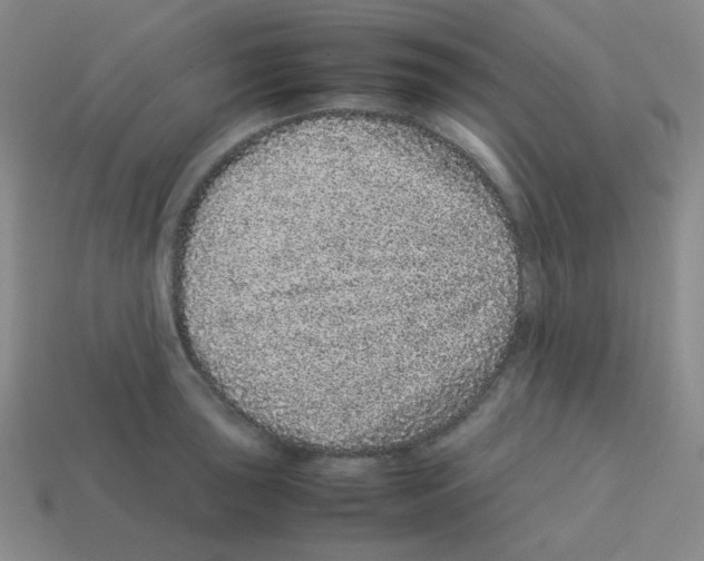 X0000113241043200910221056