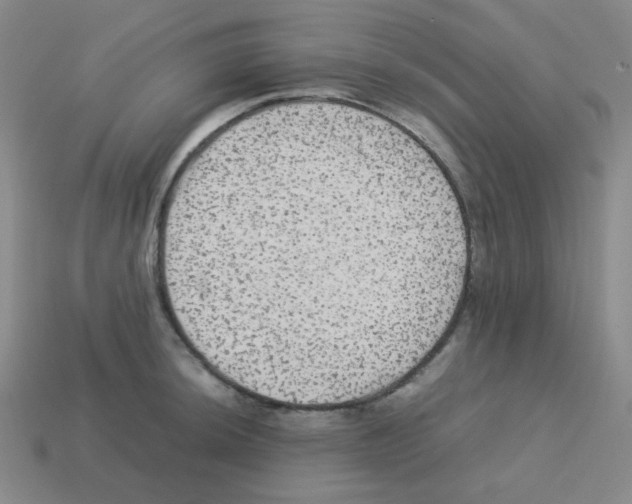 X0000113241044200910221056