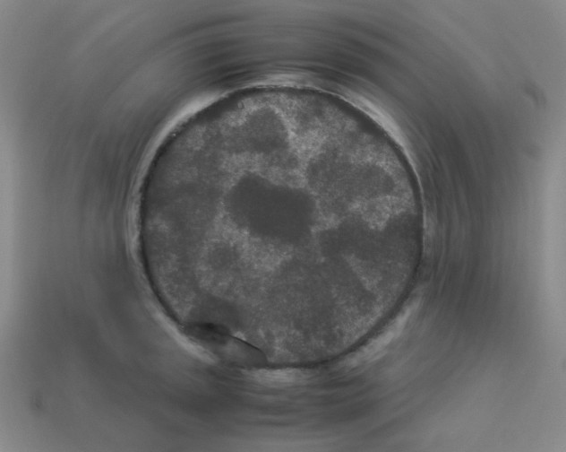 X0000113241045200910221056