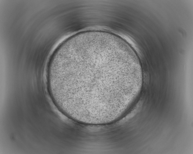 X0000113241046200910221056