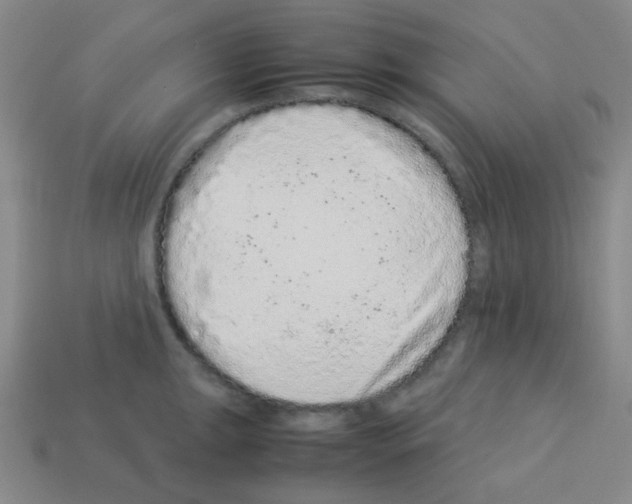 X0000113241047200910221056