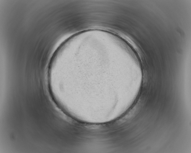 X0000113241048200910221056