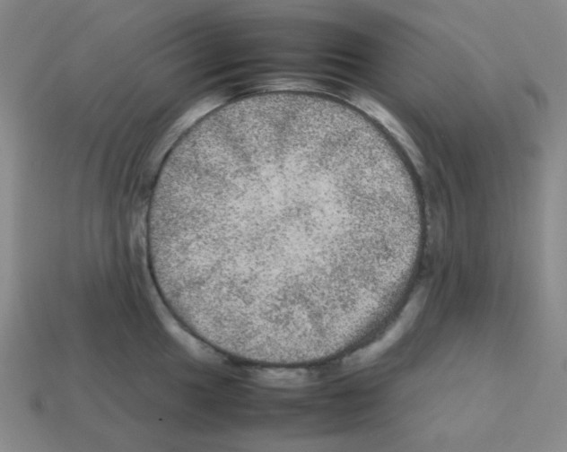 X0000113241049200910221056