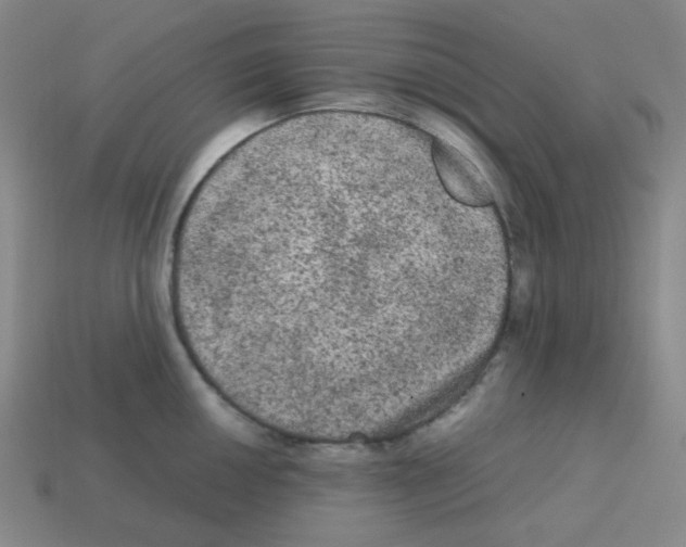 X0000113241050200910221056