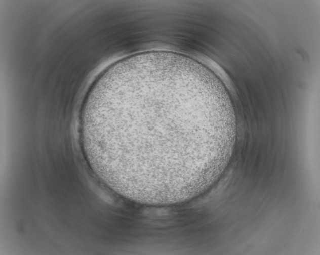 X0000113241051200910221056