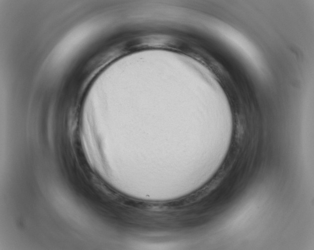 X0000113241052200910221056