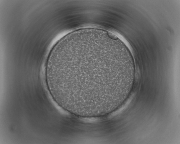 X0000113241053200910221056