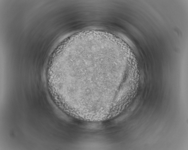 X0000113241055200910221057