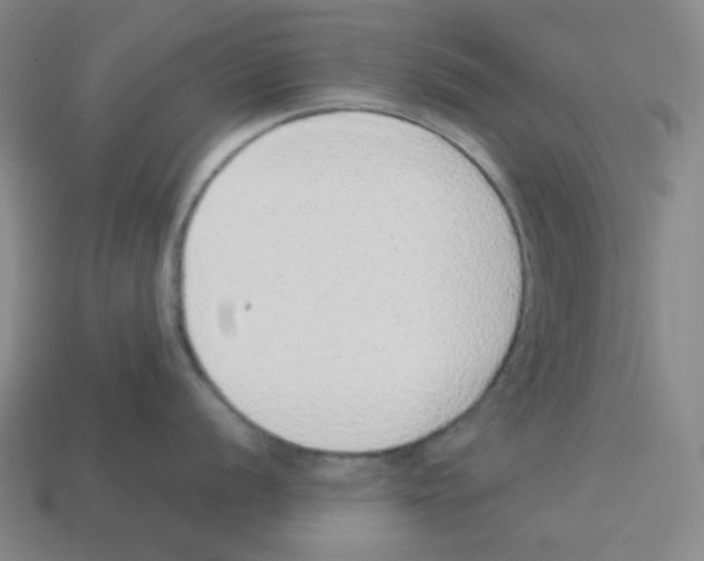 X0000113241056200910221057