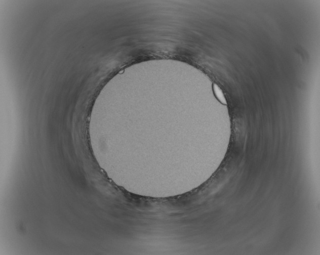 X0000113241057200910221056