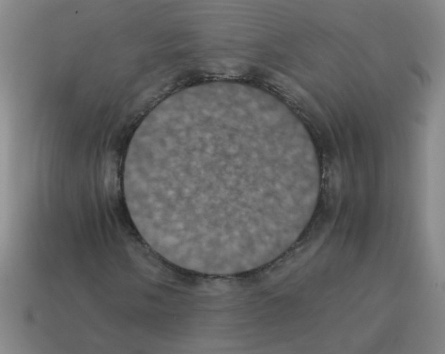X0000113241058200910221056
