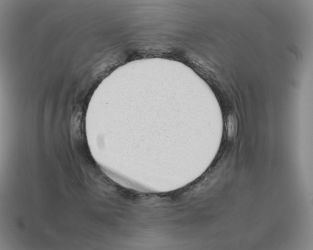 X0000113241059200910221056