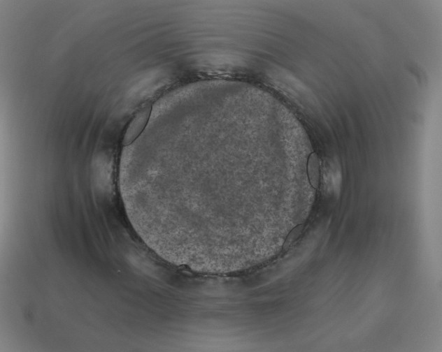 X0000113241060200910221056