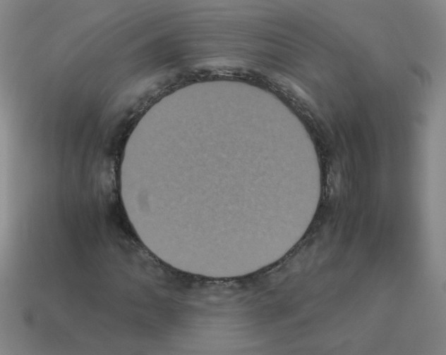X0000113241062200910221056