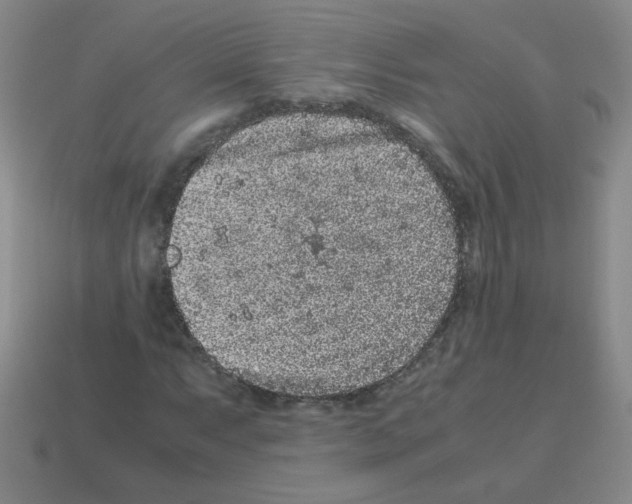 X0000113241063200910221056