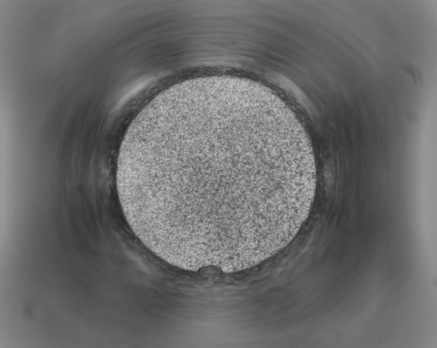 X0000113241064200910221056