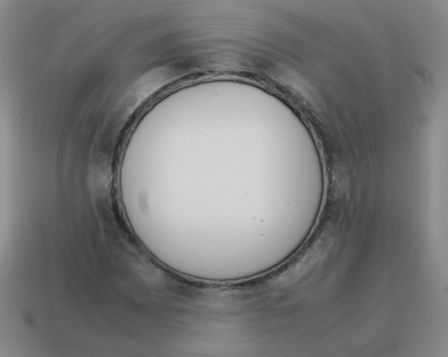 X0000113241065200910221056
