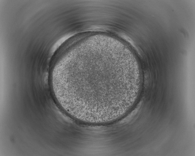 X0000113241066200910221056