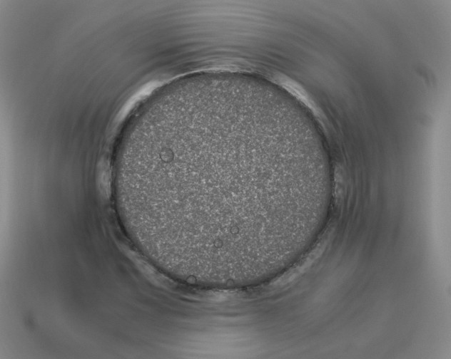 X0000113241067200910221056
