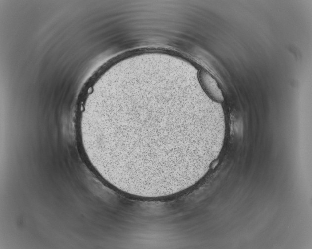 X0000113241068200910221056