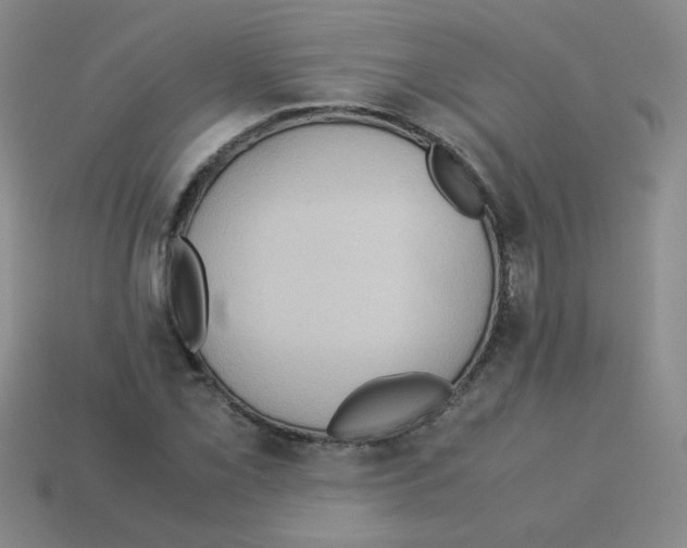 X0000113241069200910221056