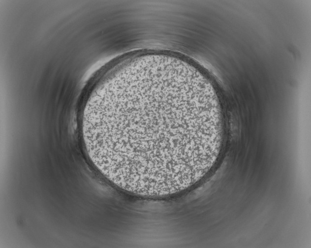 X0000113241070200910221056