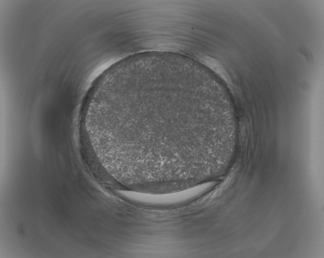 X0000113241071200910221056