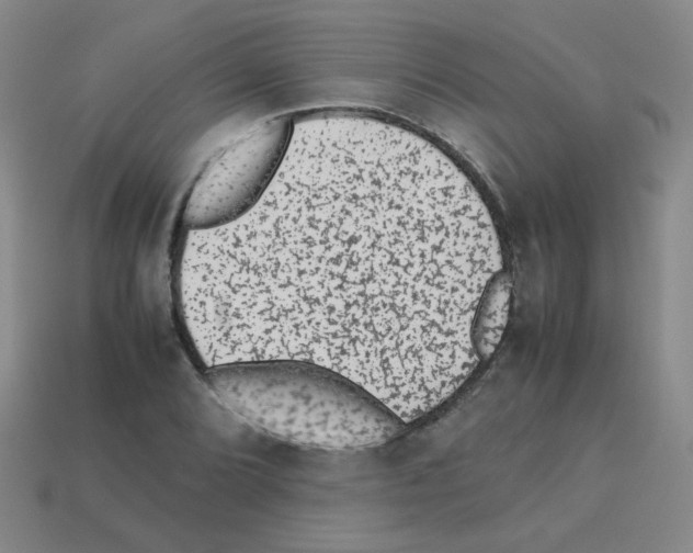 X0000113241072200910221056