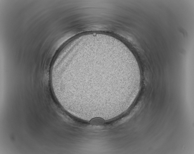 X0000113241073200910221056