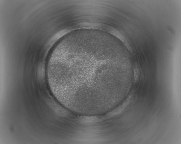 X0000113241074200910221056