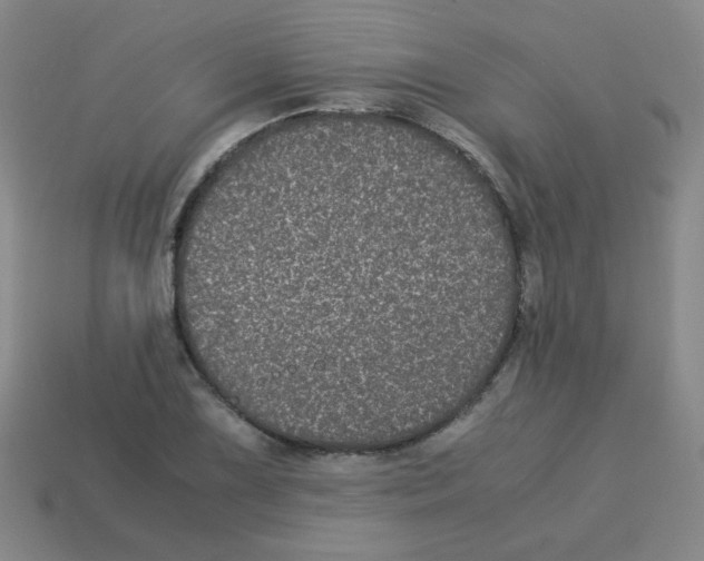 X0000113241075200910221056