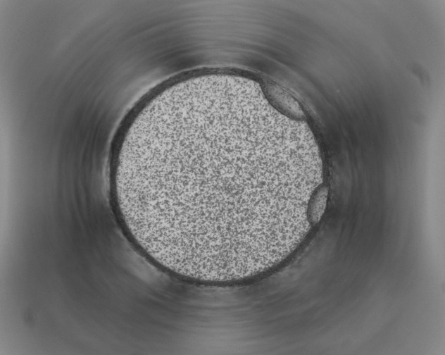 X0000113241076200910221056