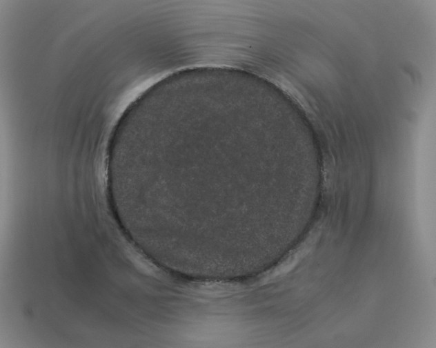 X0000113241077200910221055