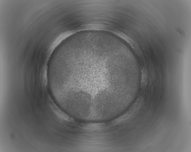 X0000113241078200910221055