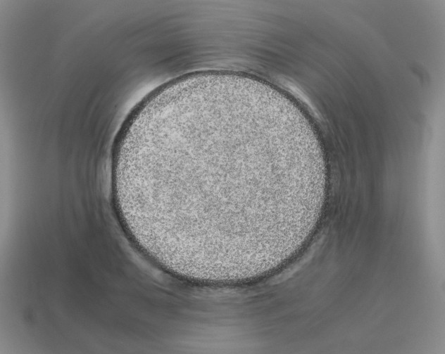 X0000113241079200910221055