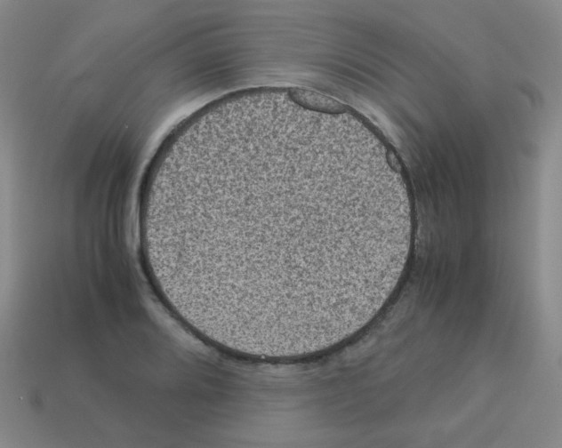 X0000113241080200910221055