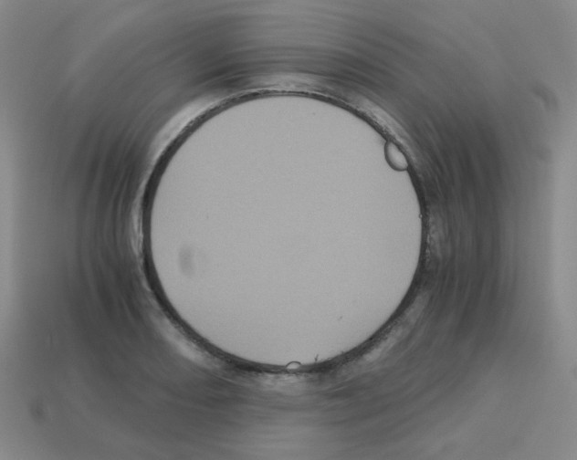 X0000113241082200910221055