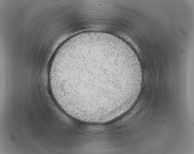X0000113241083200910221055