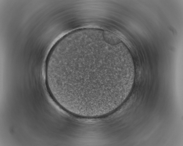 X0000113241084200910221055
