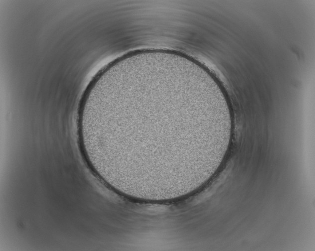 X0000113241085200910221055