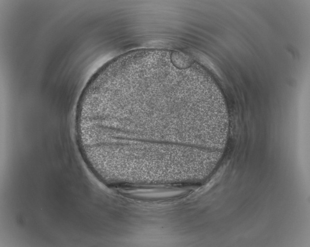 X0000113241087200910221055