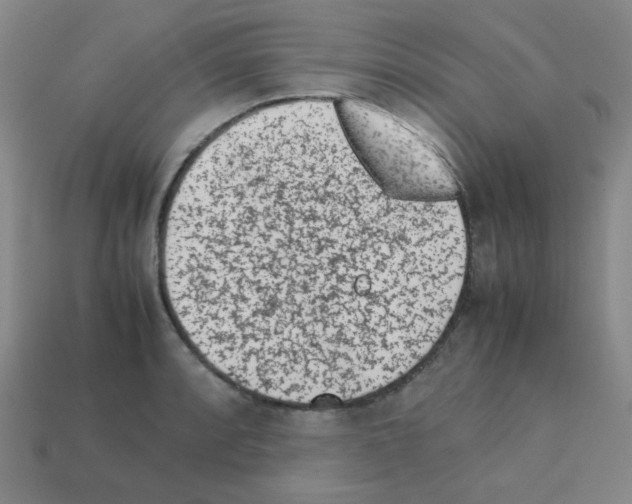 X0000113241088200910221055