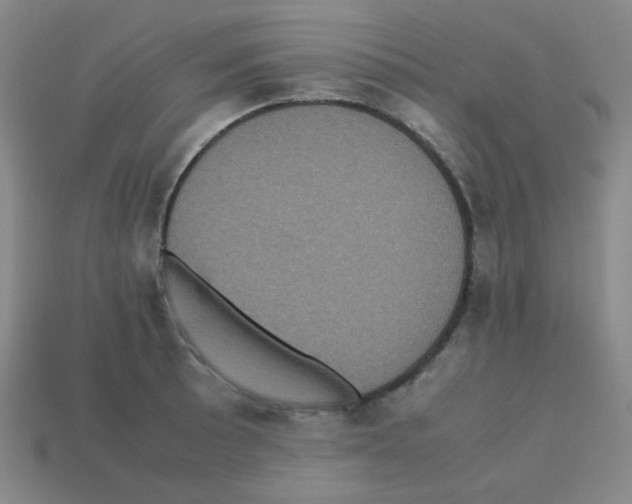 X0000113241089200910221055