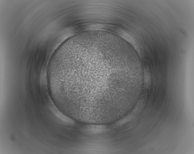 X0000113241090200910221055