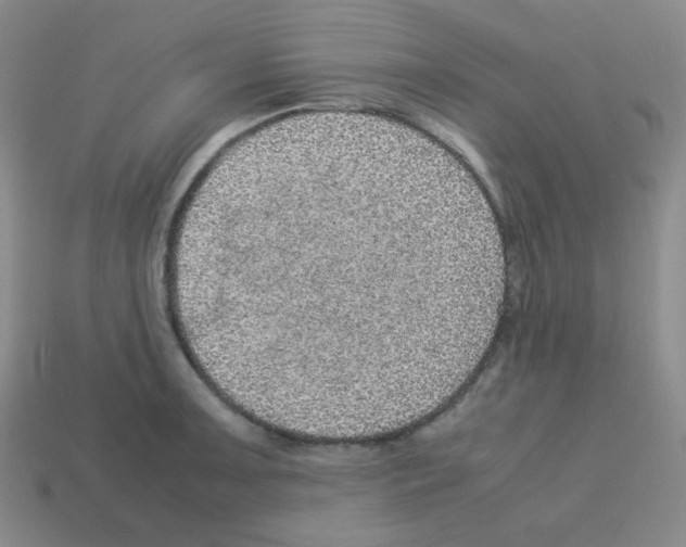 X0000113241091200910221055