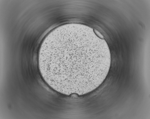 X0000113241092200910221055